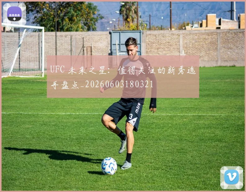 UFC 未来之星:值得关注的新秀选手盘点_20260603180321