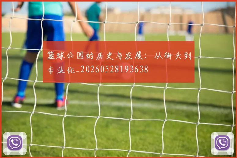 篮球公园的历史与发展：从街头到专业化_20260528193638