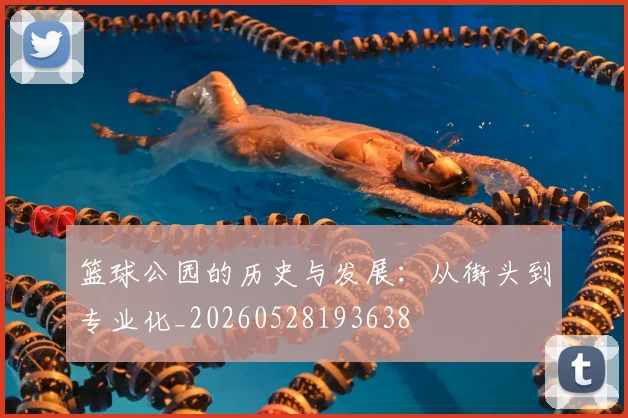 篮球公园的历史与发展：从街头到专业化_20260528193638