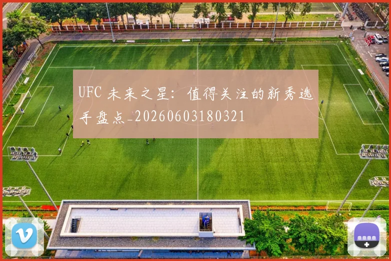 UFC 未来之星:值得关注的新秀选手盘点_20260603180321
